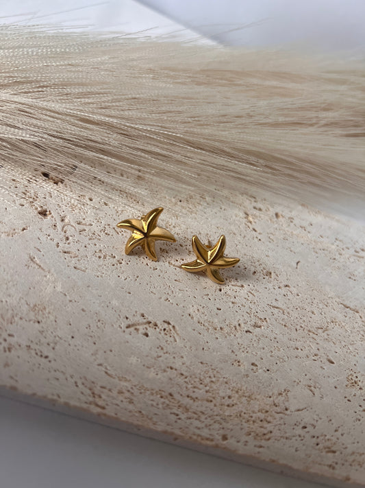 Starfish earrings.